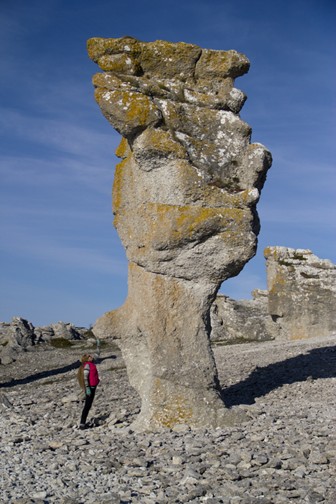 That’s me reaching up to touch the “nose” of this rauk at Langhammars on the West Coast of Fårö.