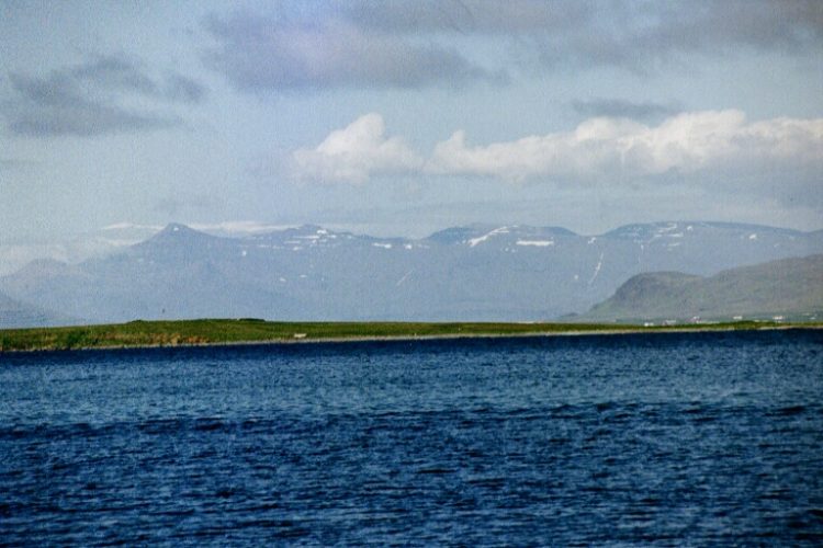 View North from Reykjavik harbour.
