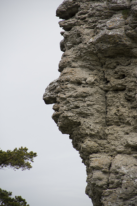 We love to find human faces in rock outcroppings; here’s a good one at Jungfrun.