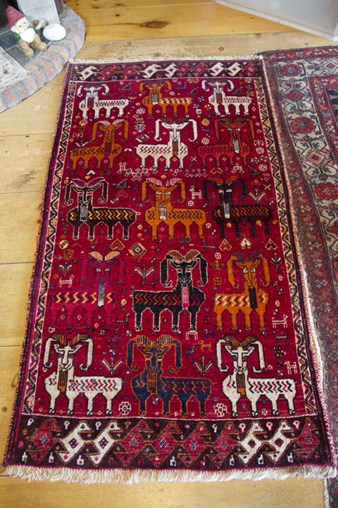 My Qasq’ai (or Qashqai) Persian carpet