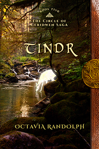 Tindr: Book Five of The Circle of Ceridwen Saga