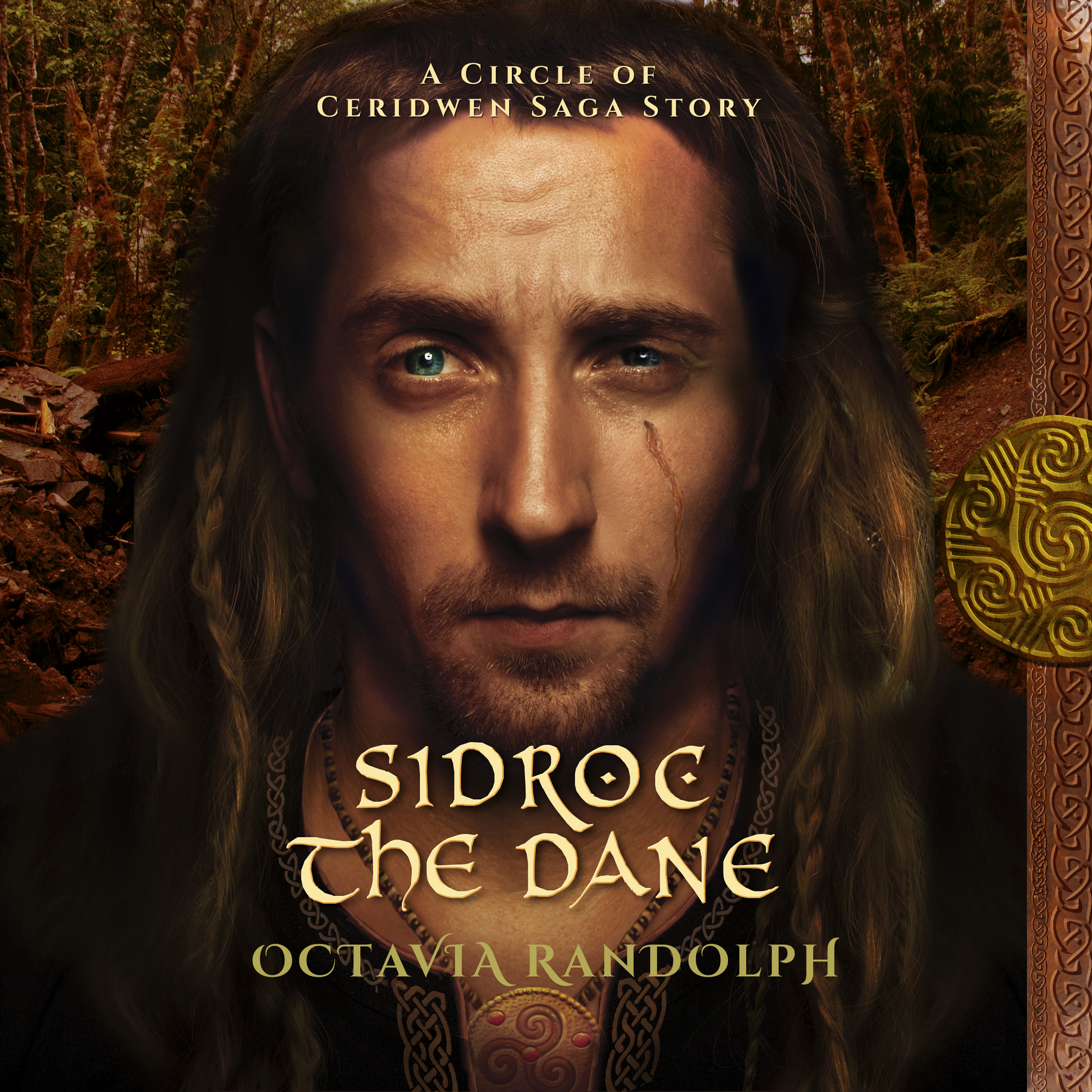 Sidroc the Dane Audio Cover