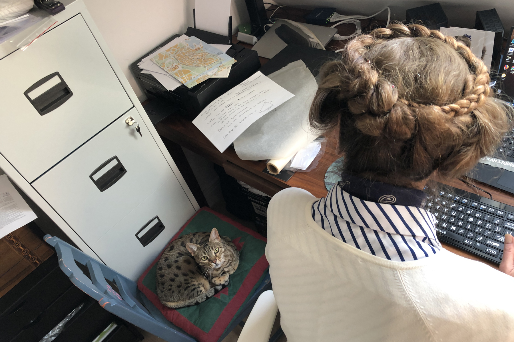 Pyewacket Means Pyewacket the Bengal
