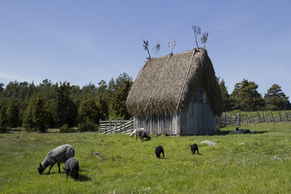 Lammgift (sheep shelter) Fårö